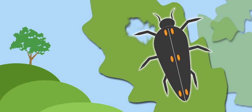 RSG Tree Pest Banner