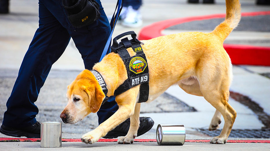 Airport rescue trucks parked in front of a station
