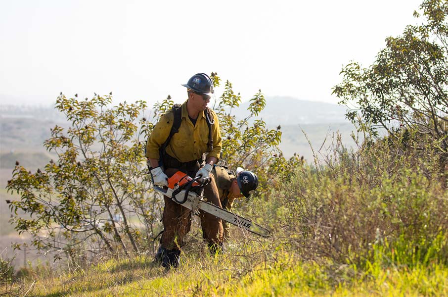 Handcrew firefighters clearing brush