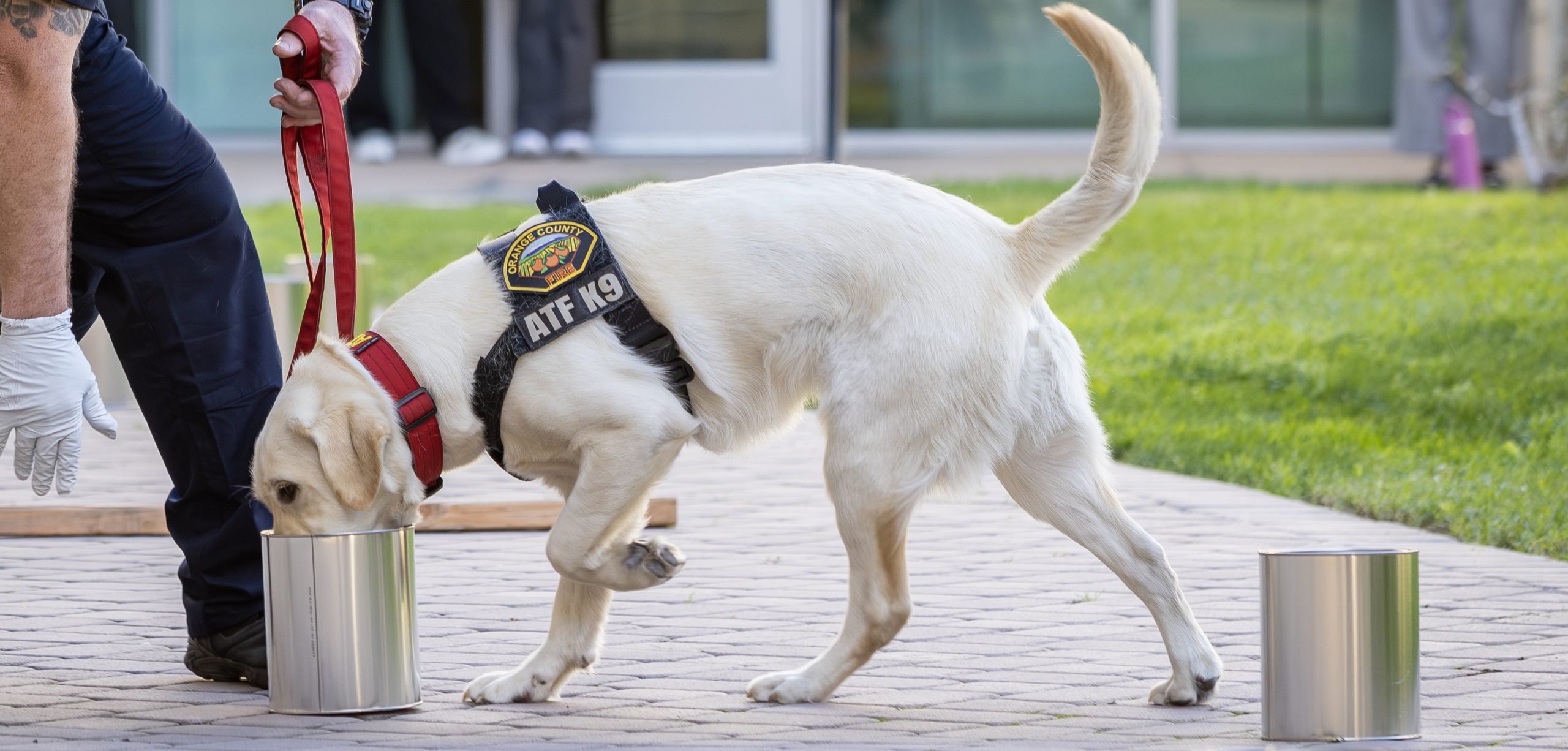 Airport rescue trucks parked in front of a station