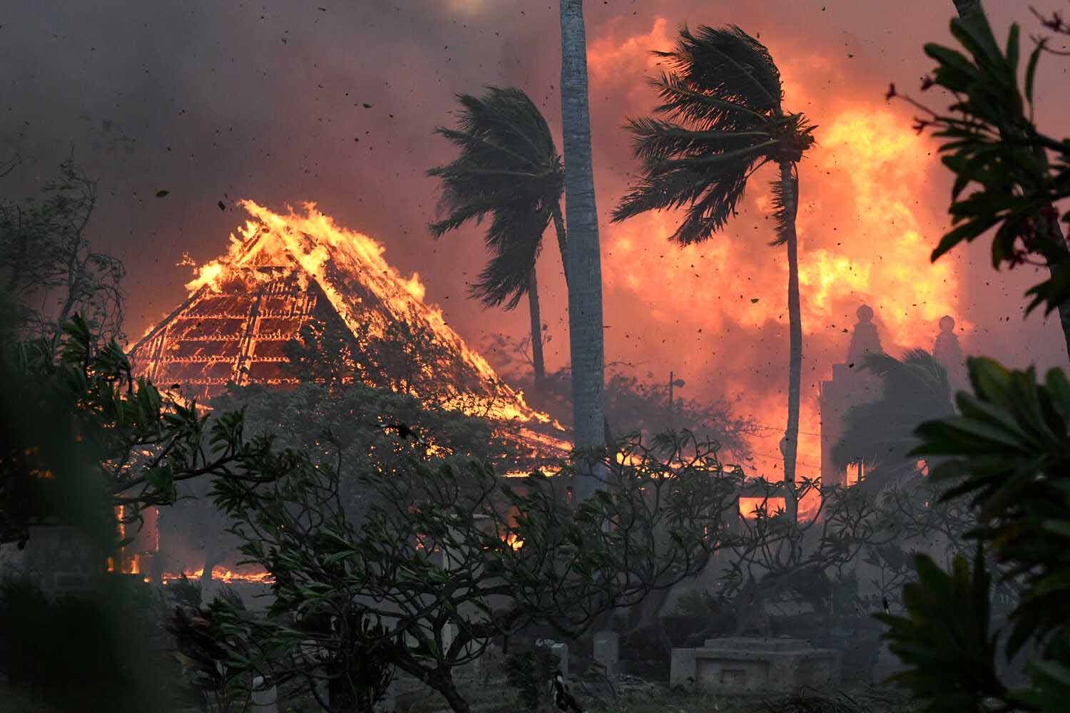 Hawaii Wildfires