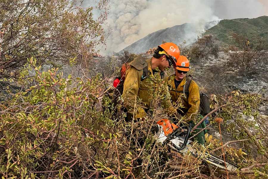 Handcrew firefighters clearing brush during a wildfire with chainsaws